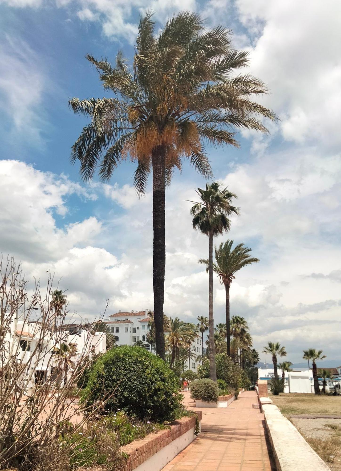 Apartamento Primera Linea De Playa Manilva Eksteriør bilde
